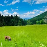 Gorska Cisza - Duzy, Komfortowy, Wyjatkowy *