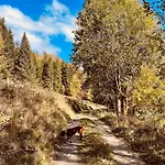 Lejlighed Gorska Cisza - Duzy, Komfortowy, Wyjatkowy *