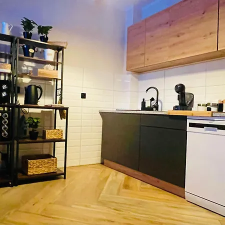 Gorska Cisza - Duzy, Komfortowy, Wyjatkowy Stronie Śląskie