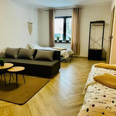 Apartman Gorska Cisza - Duzy, Komfortowy, Wyjatkowy Stronie Śląskie