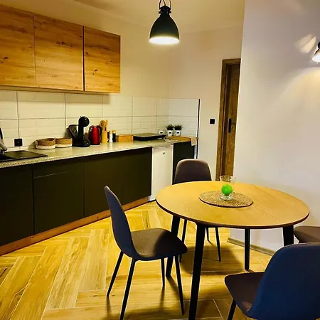 Gorska Cisza - Duzy, Komfortowy, Wyjatkowy Apartman Stronie Śląskie