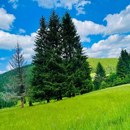 Gorska Cisza - Duzy, Komfortowy, Wyjatkowy *