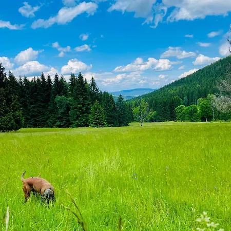 Gorska Cisza - Duzy, Komfortowy, Wyjatkowy *
