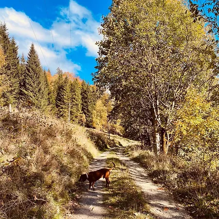 公寓 Gorska Cisza - Duzy, Komfortowy, Wyjatkowy *