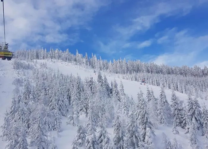 Gorska Cisza - Duzy, Komfortowy, Wyjatkowy Stronie Śląskie