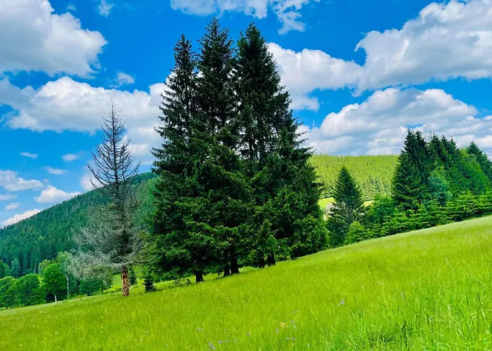 Gorska Cisza - Duzy, Komfortowy, Wyjatkowy *