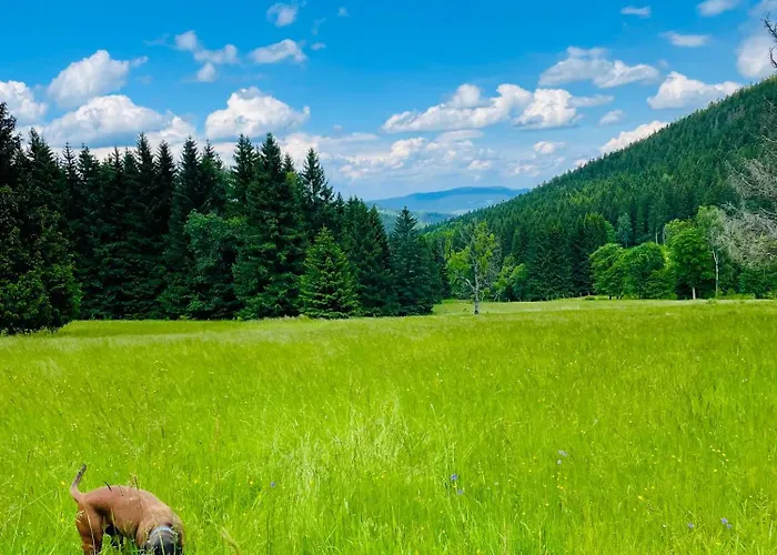 Gorska Cisza - Duzy, Komfortowy, Wyjatkowy *