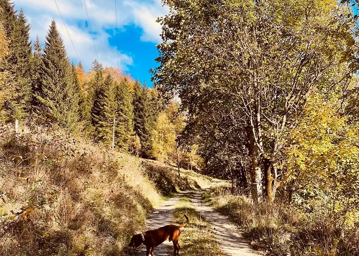 公寓 Gorska Cisza - Duzy, Komfortowy, Wyjatkowy *