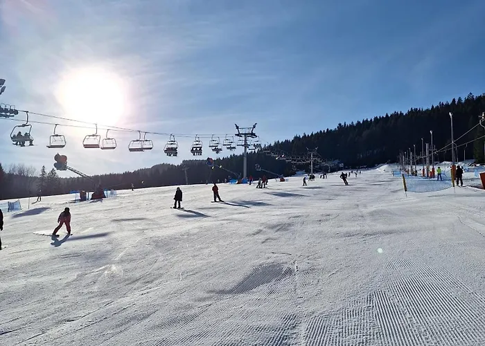 Gorska Cisza - Duzy, Komfortowy, Wyjatkowy 公寓